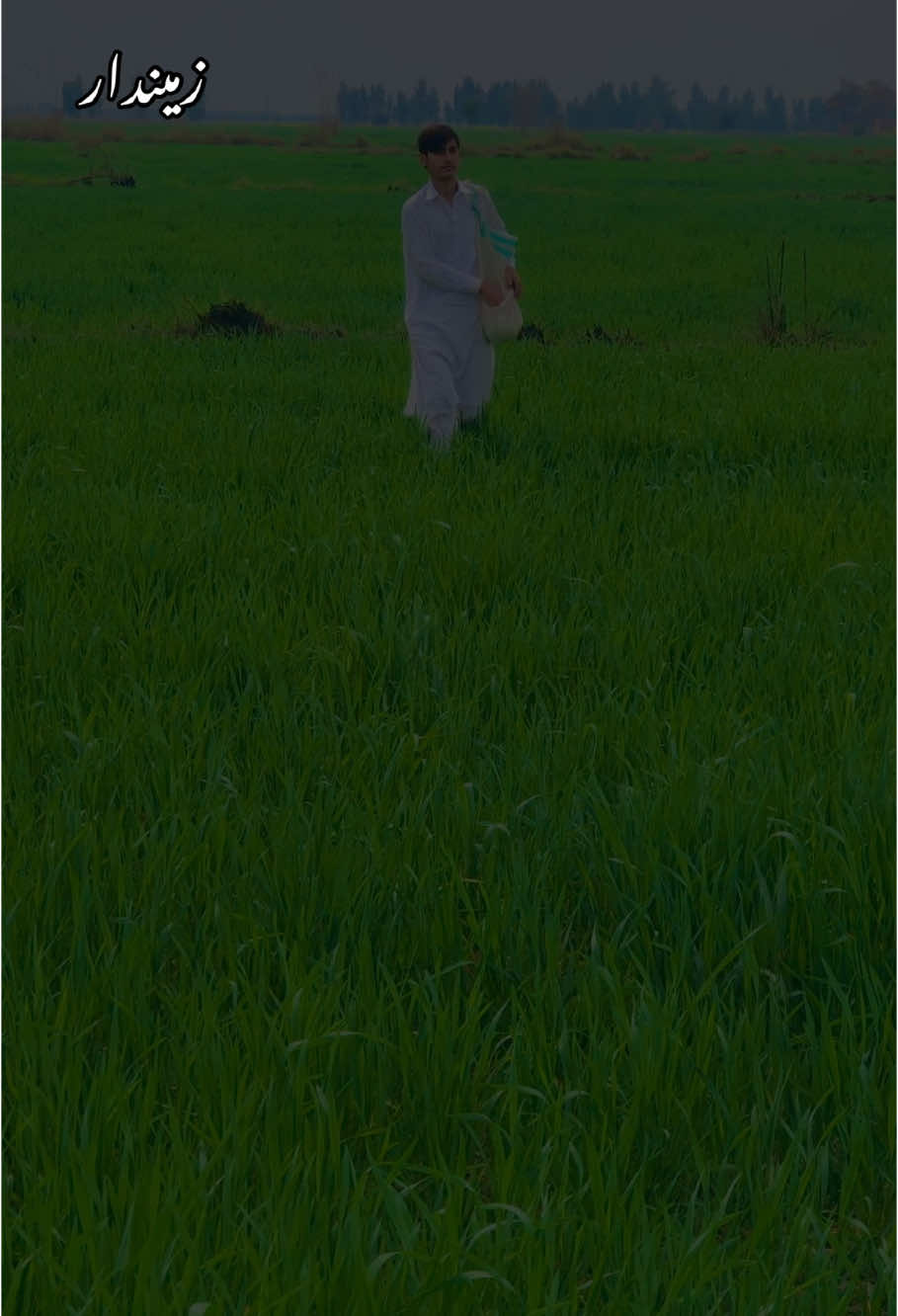 @دانش خان نیازی🌙