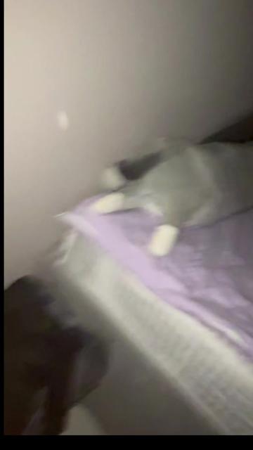 @D1psy