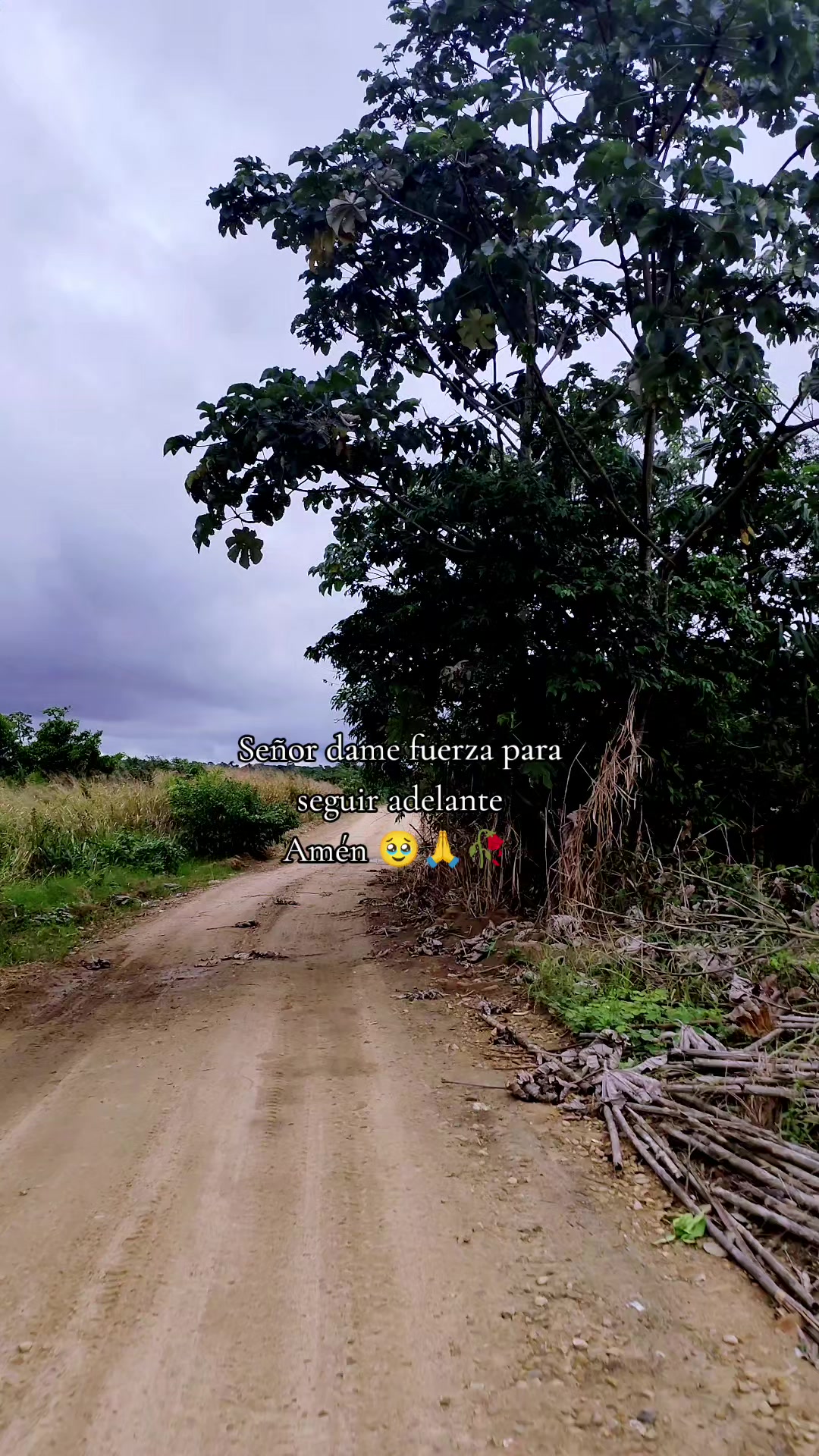 @clautufielpescad.🇧🇴🐟🤠🇲🇽