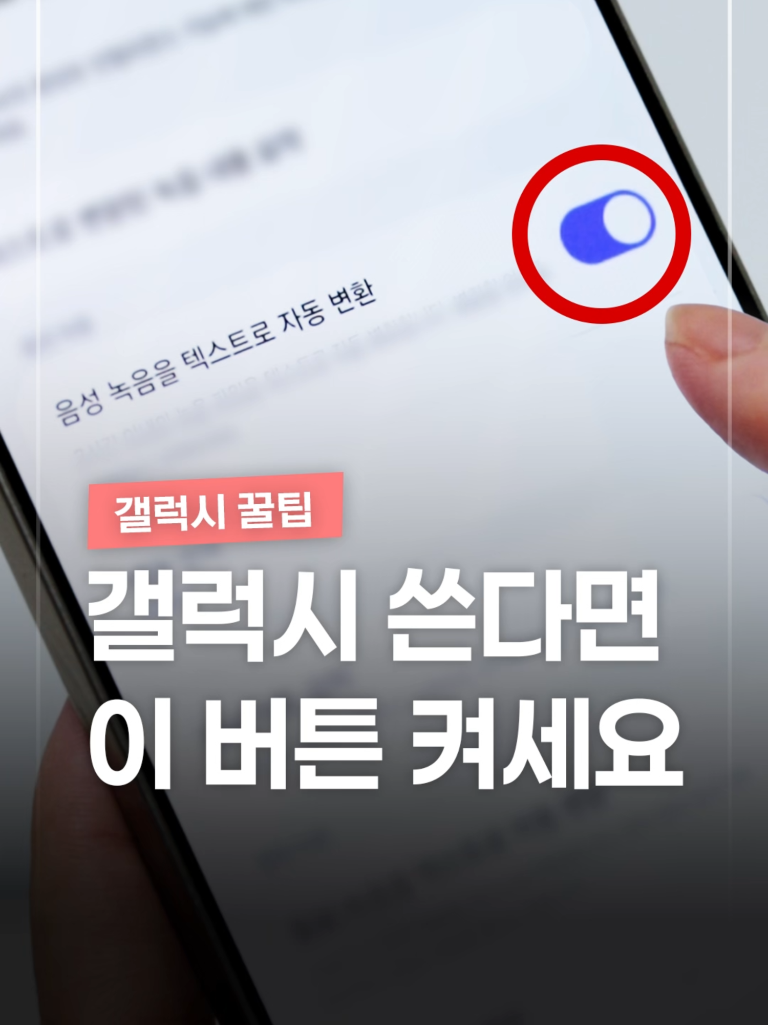 @짤컷