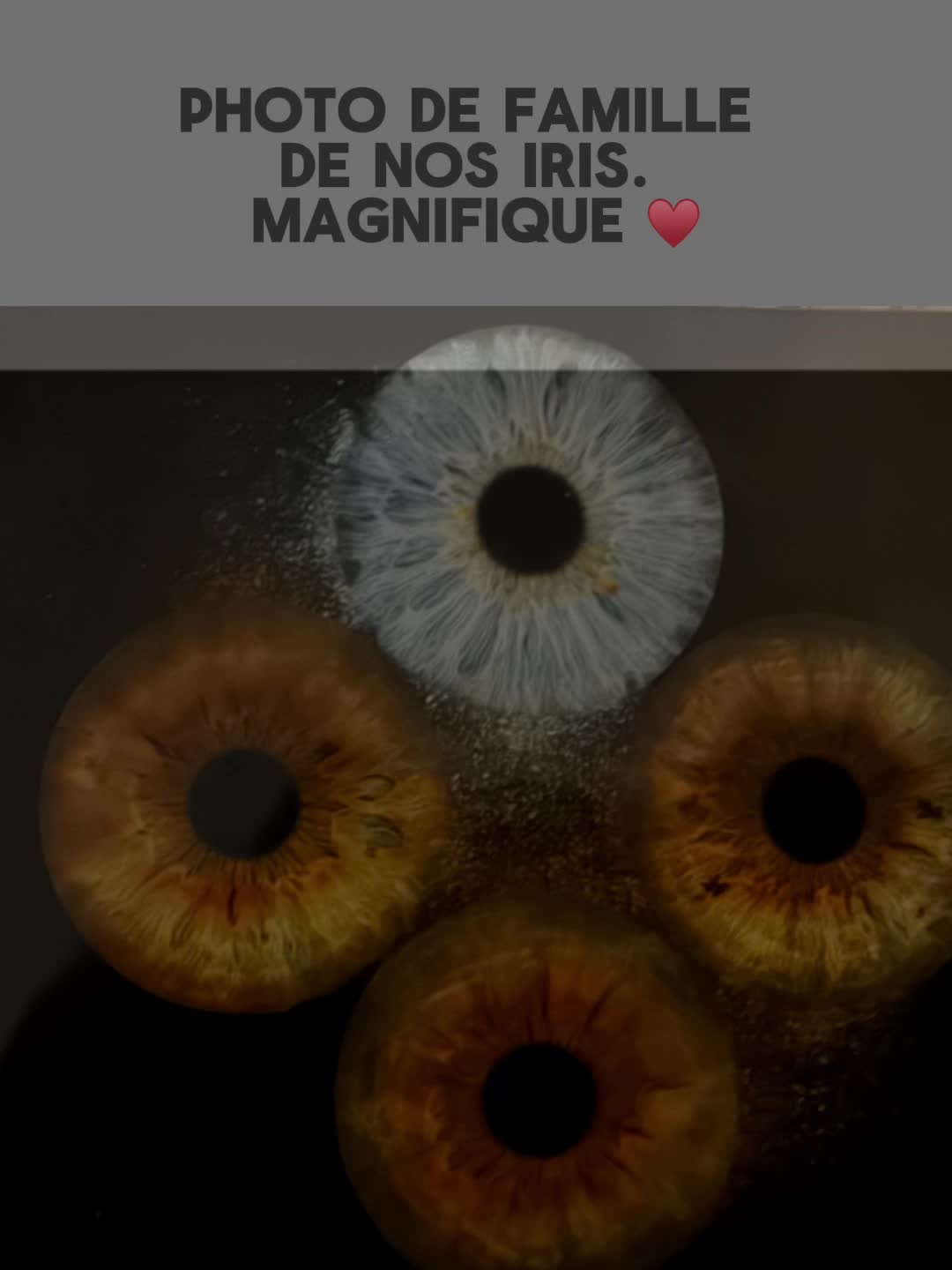 @La Shop à Mémère