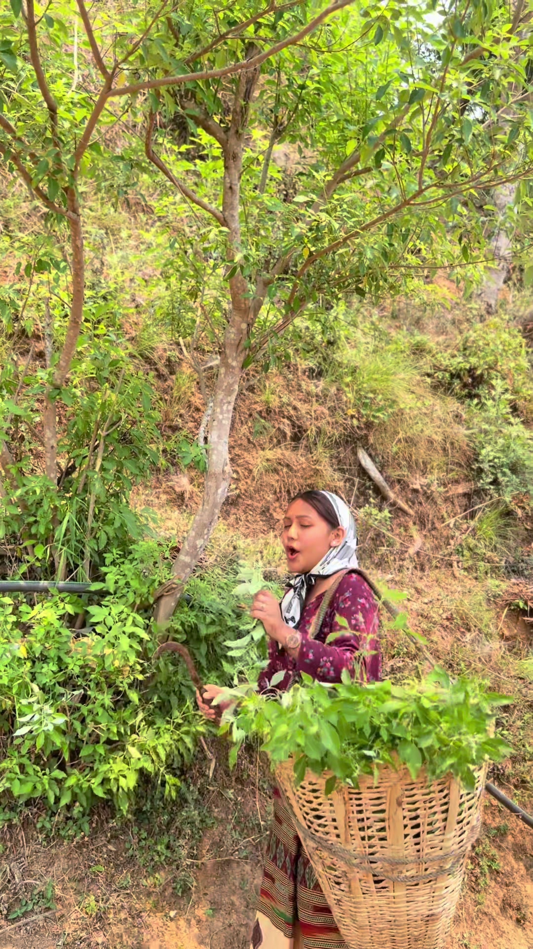 @गरिमा_खाम्चा_मगर🌻