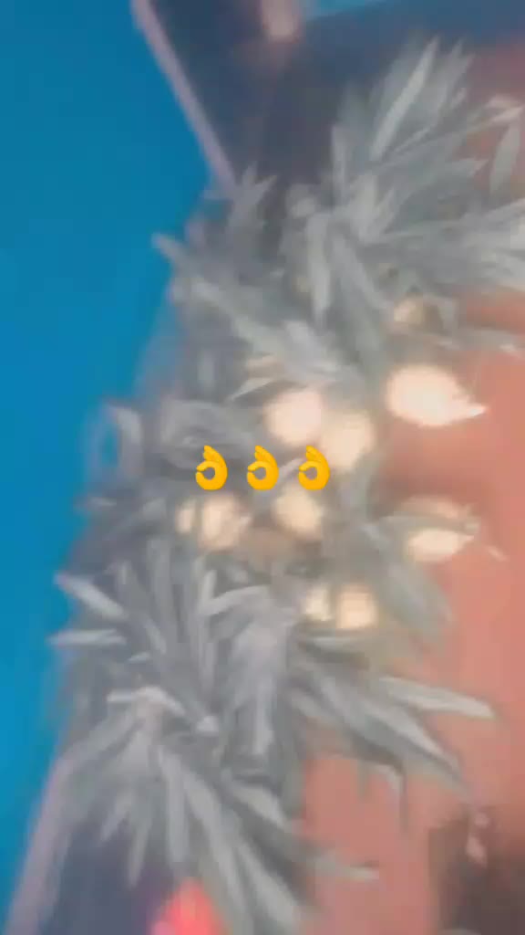 @தனு🫂🫂🫂🥰🥰