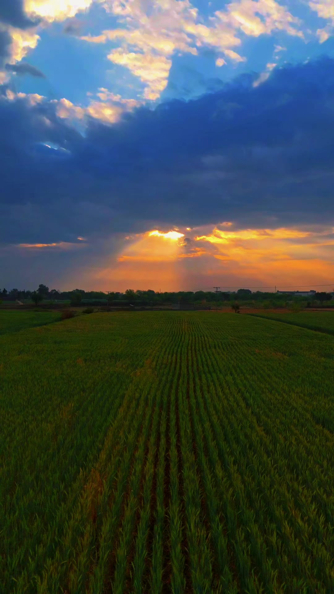 @dronezone04