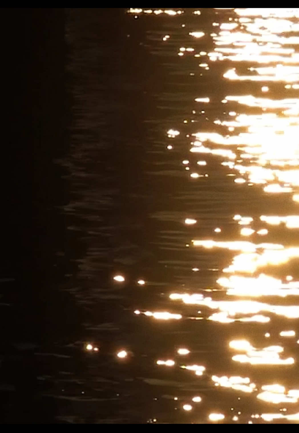@𓆝 𓆟 𓆞