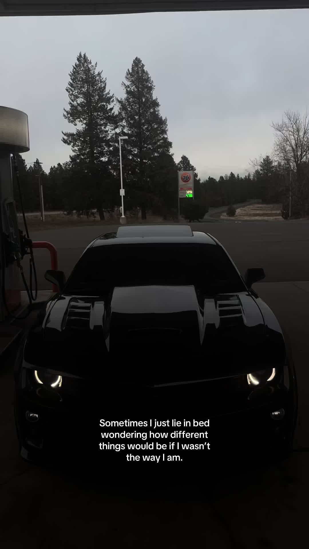 @midnight_zl1