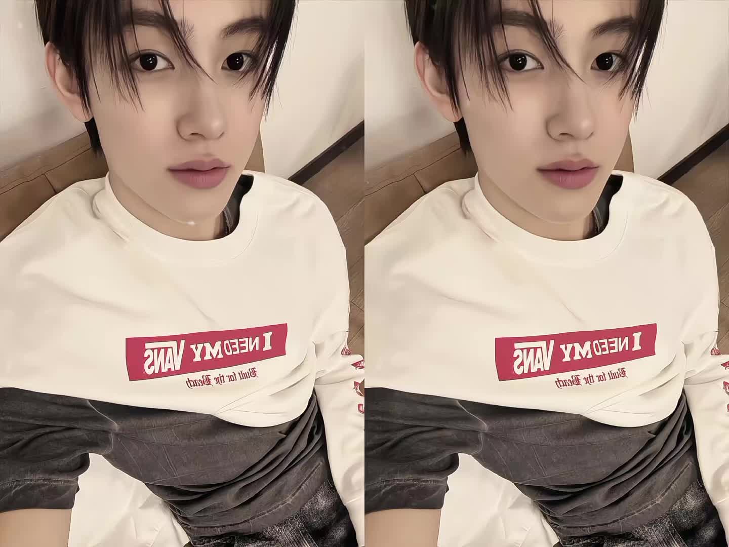 @Cỏ T&iacute;🦅🐕&zwj;🦺🐢🦊🐶