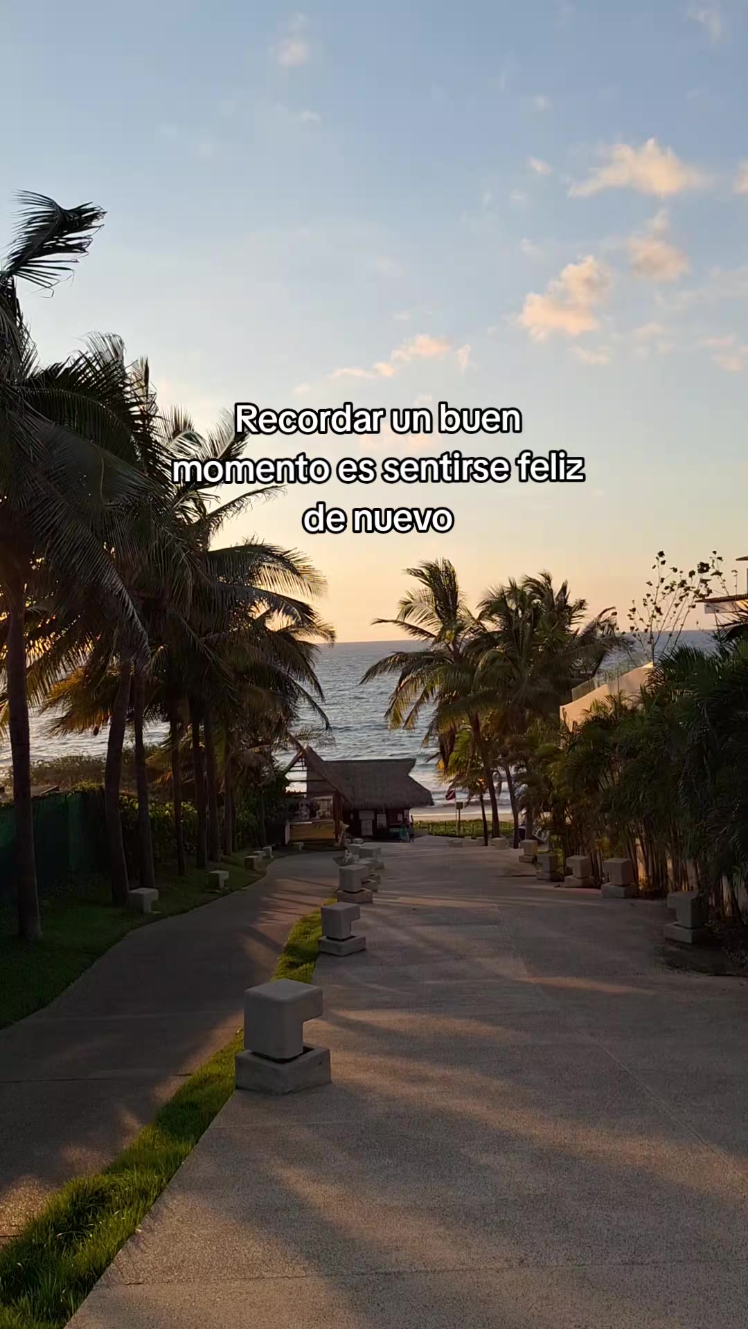 @Nancy Tabarez 💖