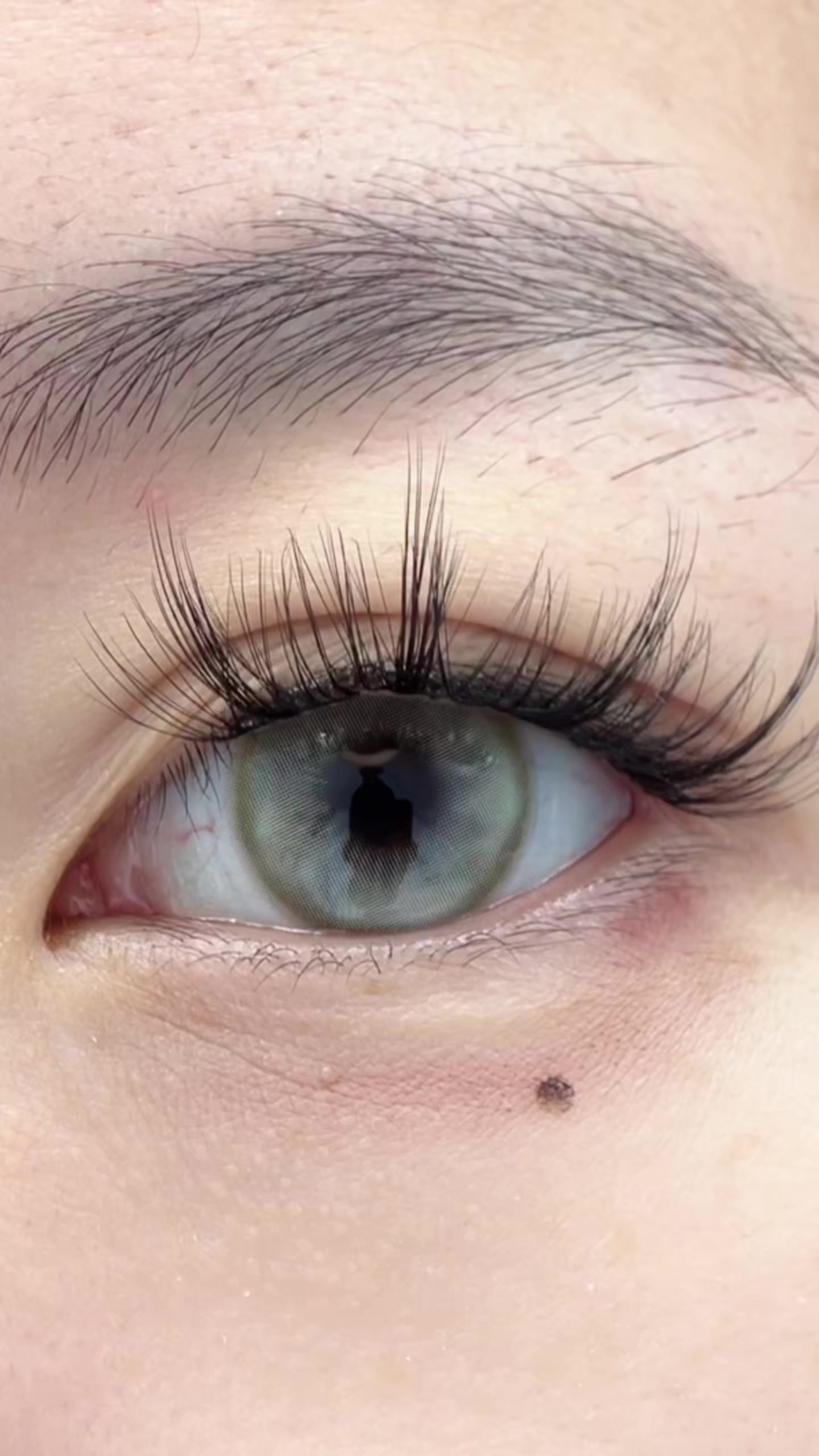 @lashgod_mother