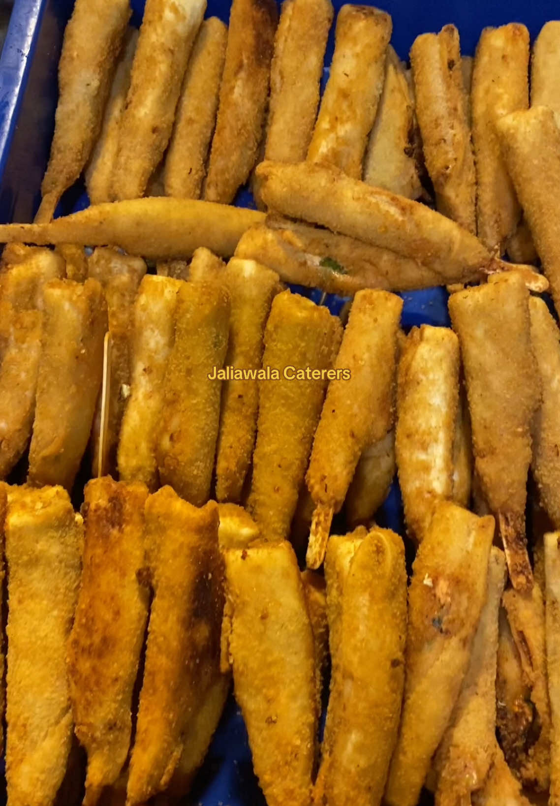 @Jaliawala Caterers