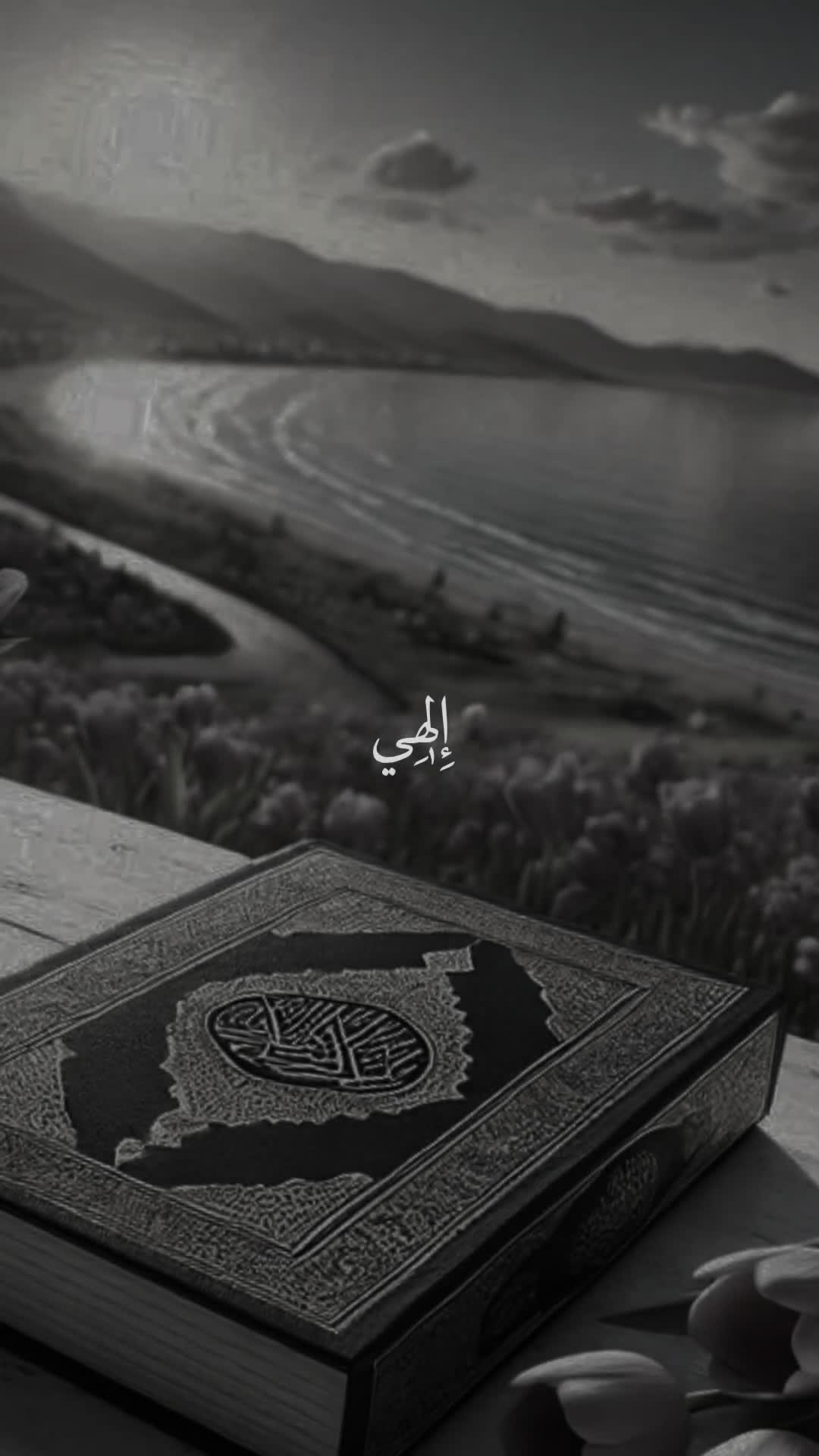@قائد الغُرِّ المُحَجَّلين