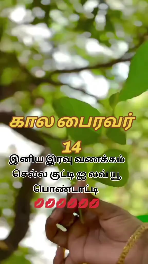 @🦁❤️💛காலபைரவன்14❤️💛🦁