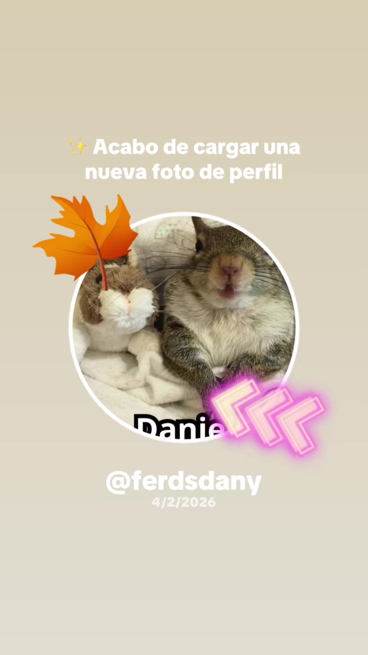 @ferdsdany