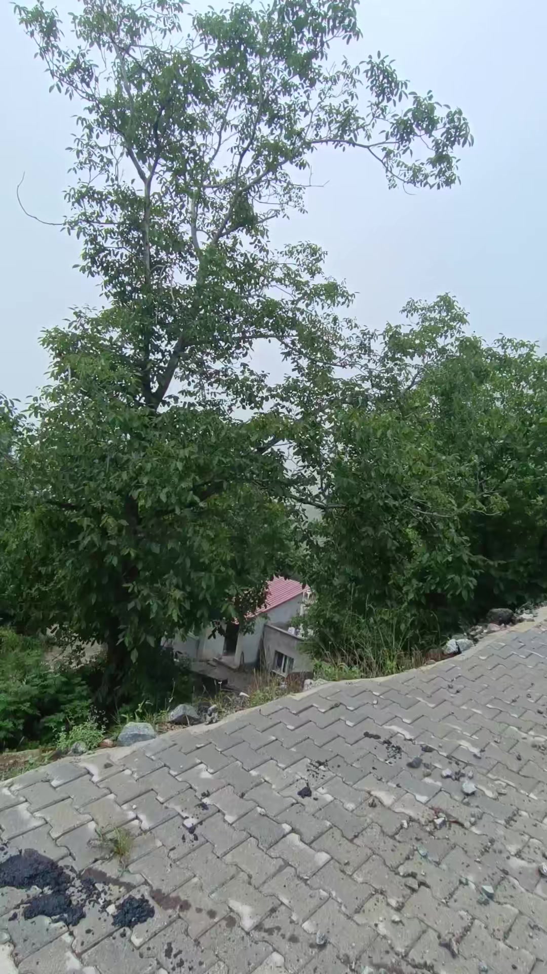 @G&ouml;kbey