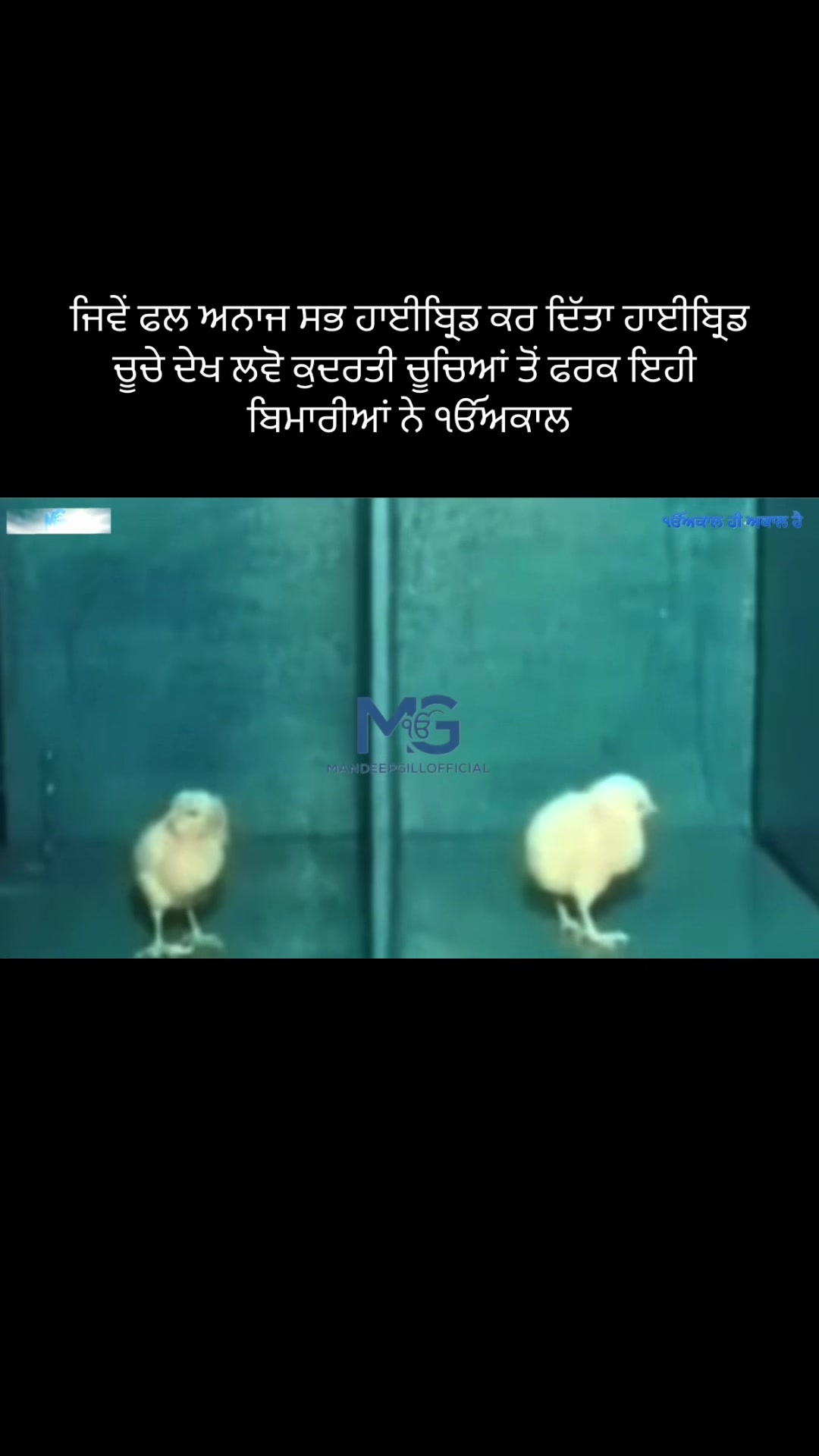 @Mandeep Singh Gill