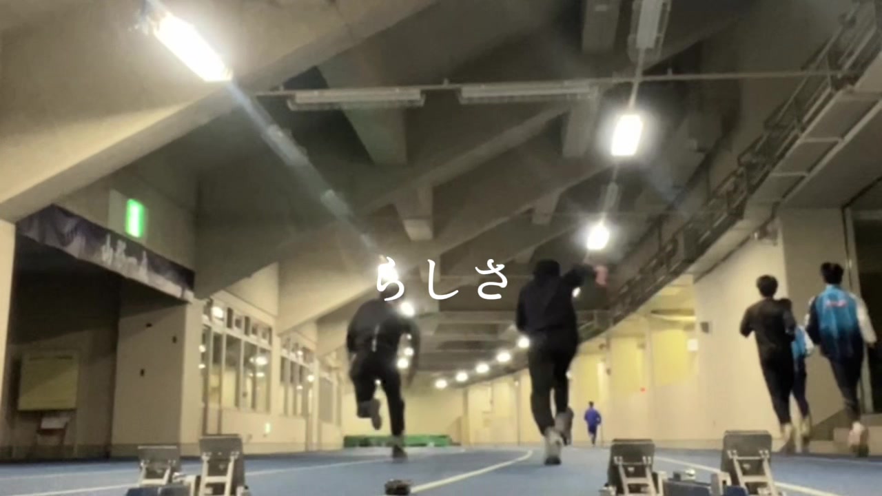 @イッヌ(棒高跳日本選手権目指す人)
