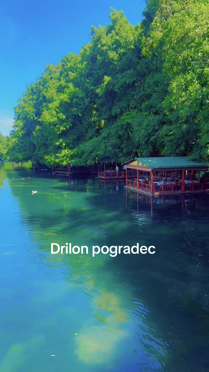 @Andi🇦🇱🇩🇪🇳🇱