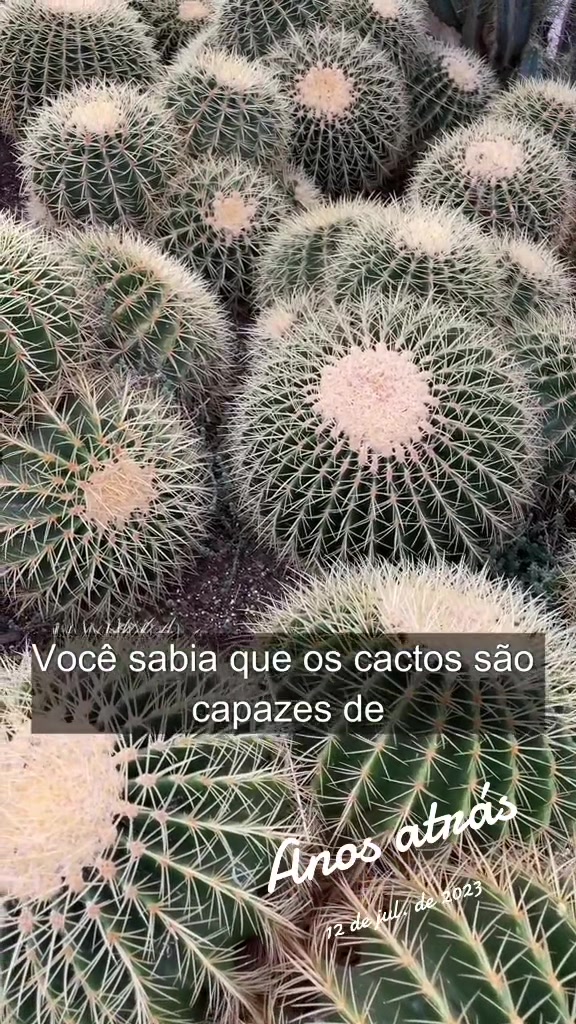 @VandoeFabi
