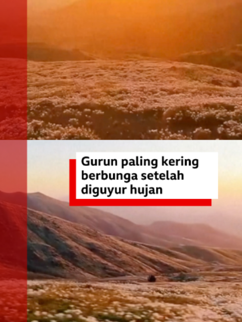 @bbcnewsindonesia