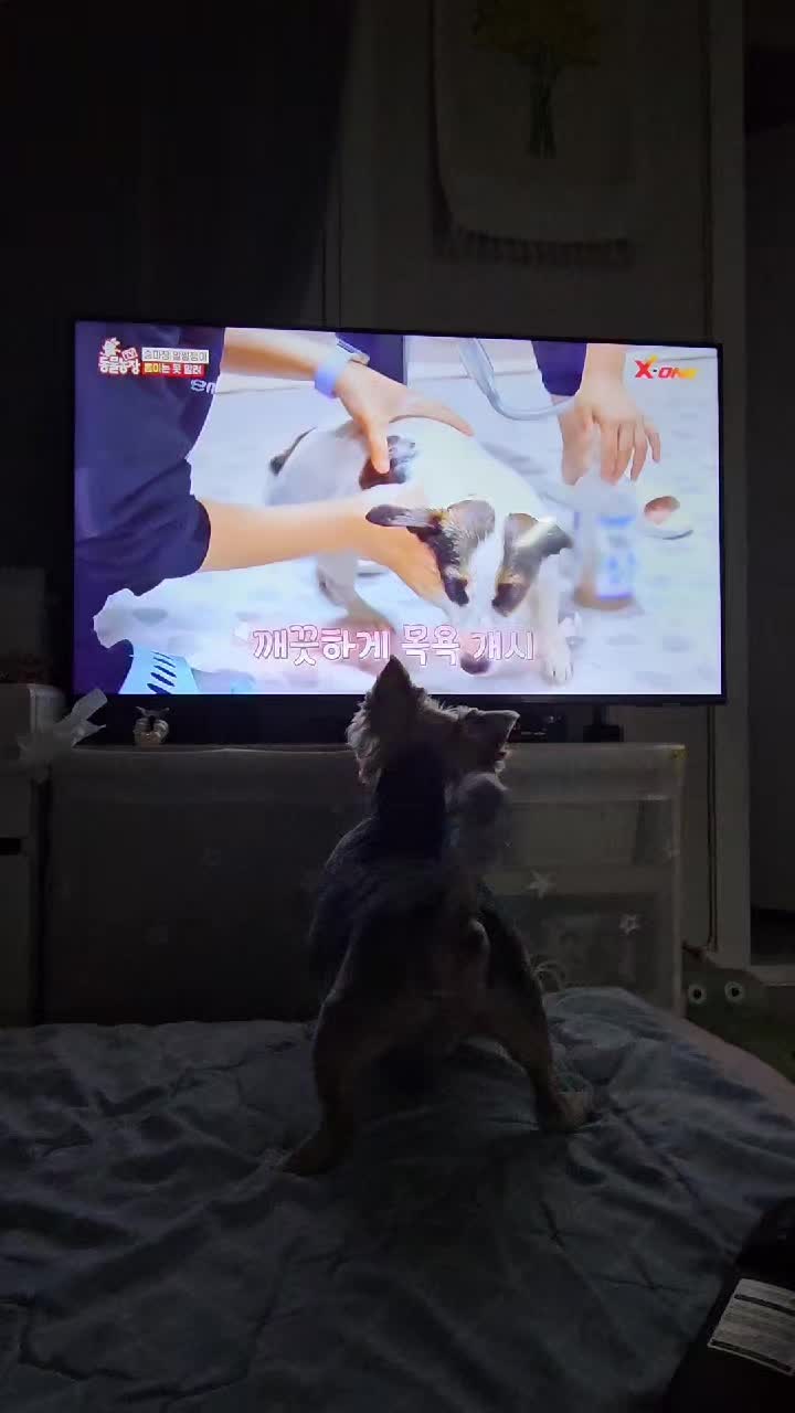 @์ ํ~๐ ๐ถ