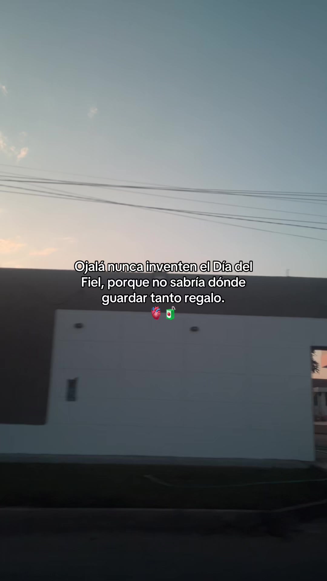 @Gatocix 🐱