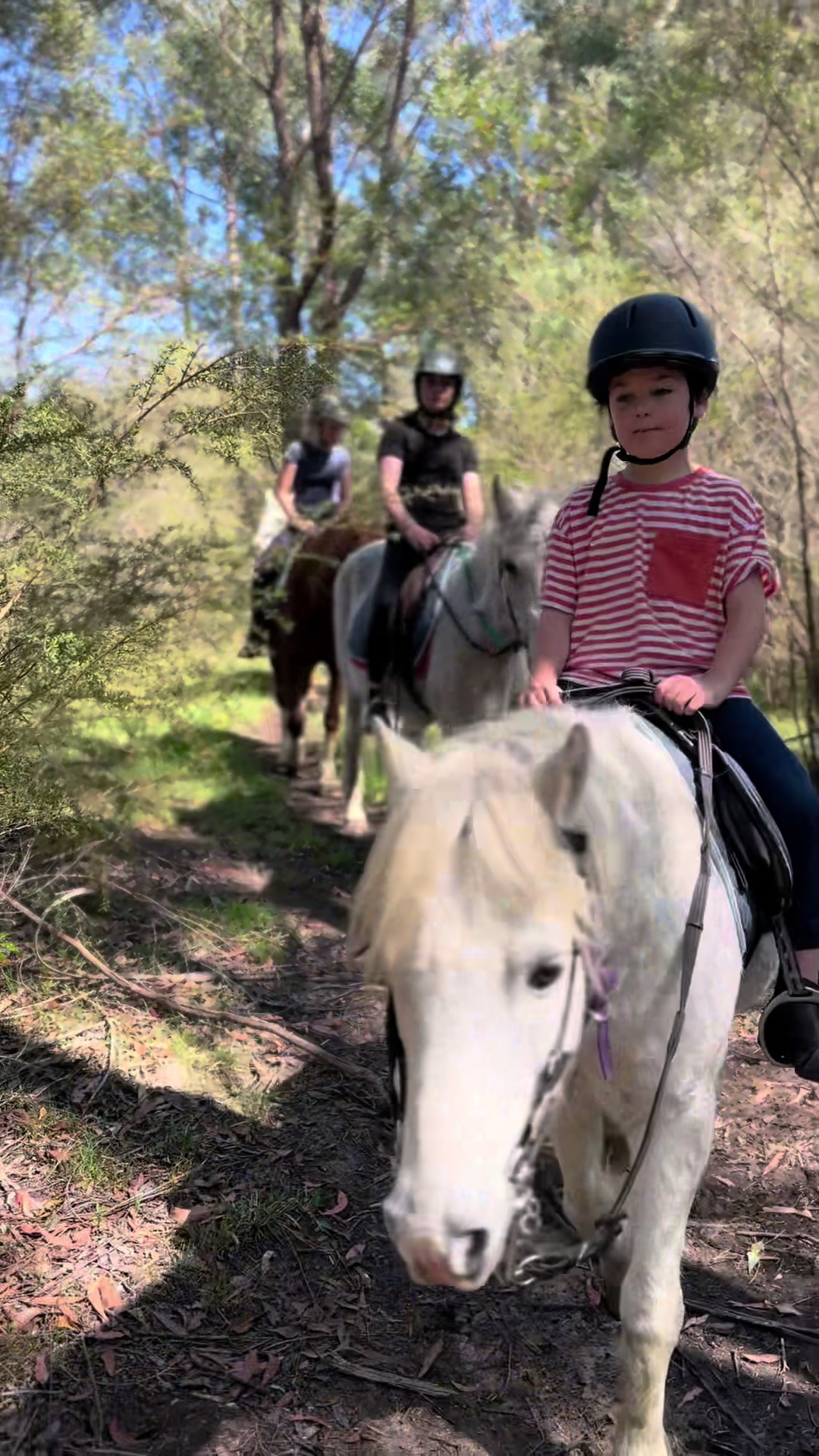 @EPEC - Horse riding centre