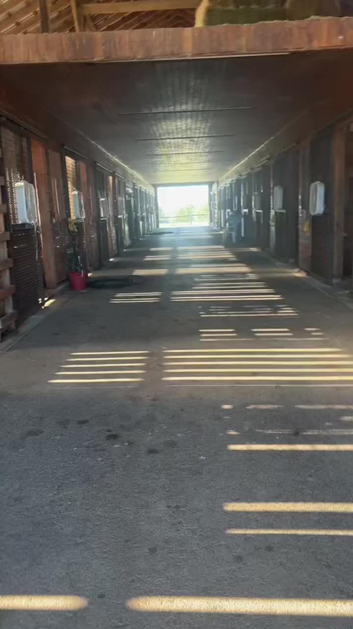 @MindsetEquestrian