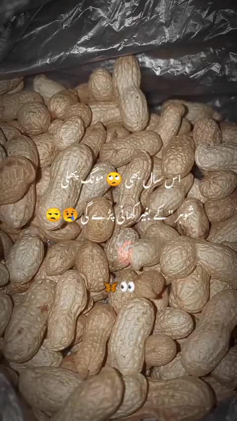 @Mona 🌙