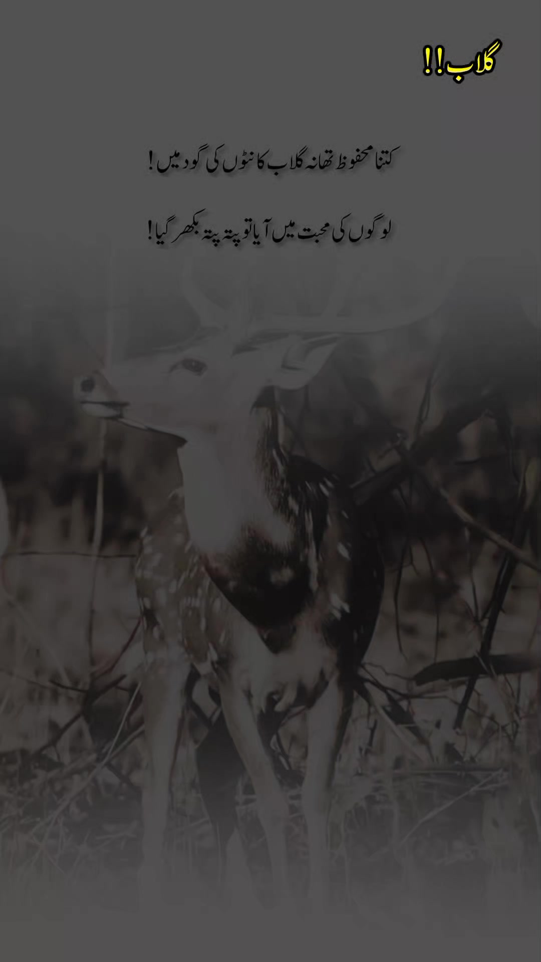 @درد دل