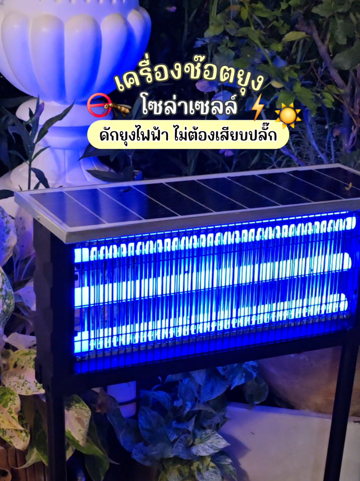 @มี้แอน LittleIng