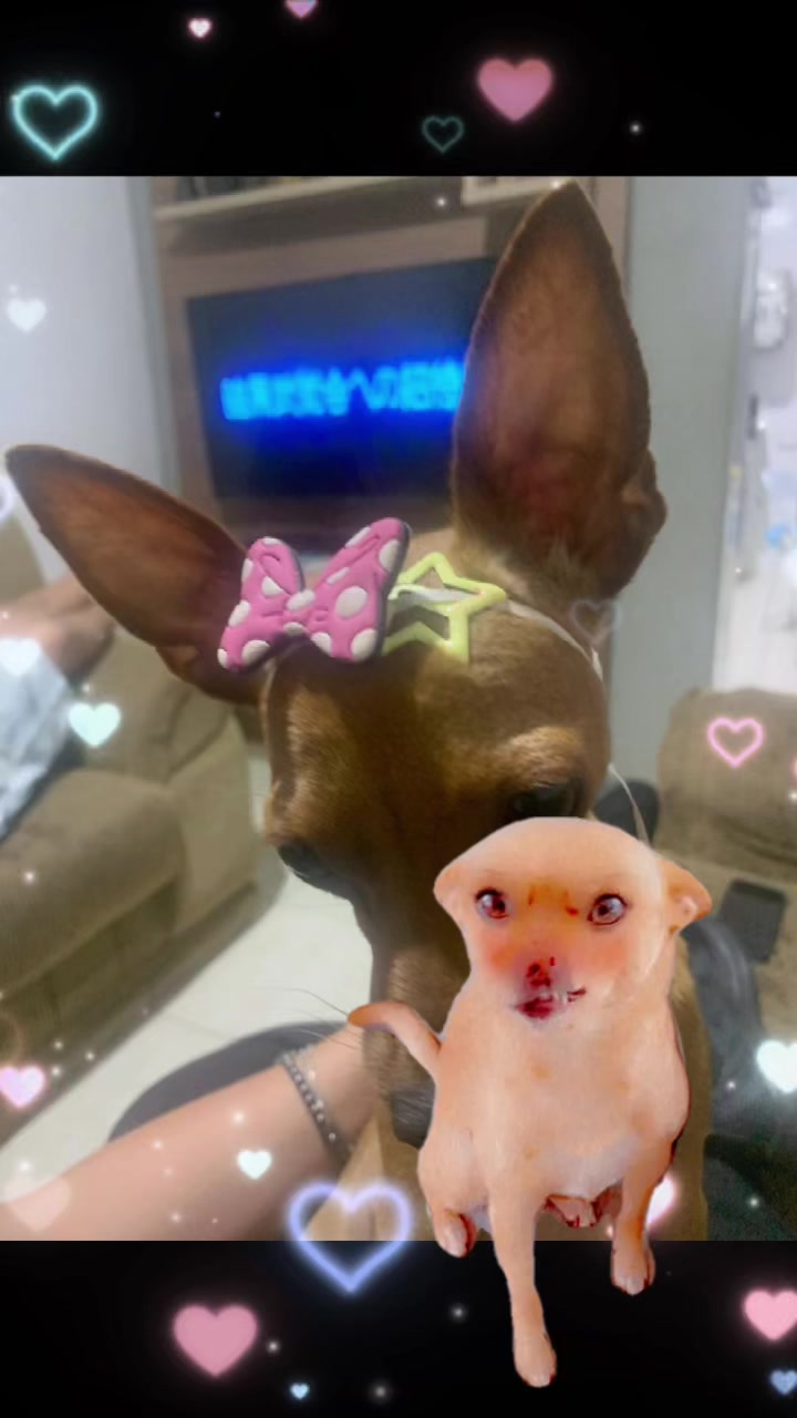 @˚ ༘𝐣𝐮𝐛𝐬⭐️ 🦕;-;。˚