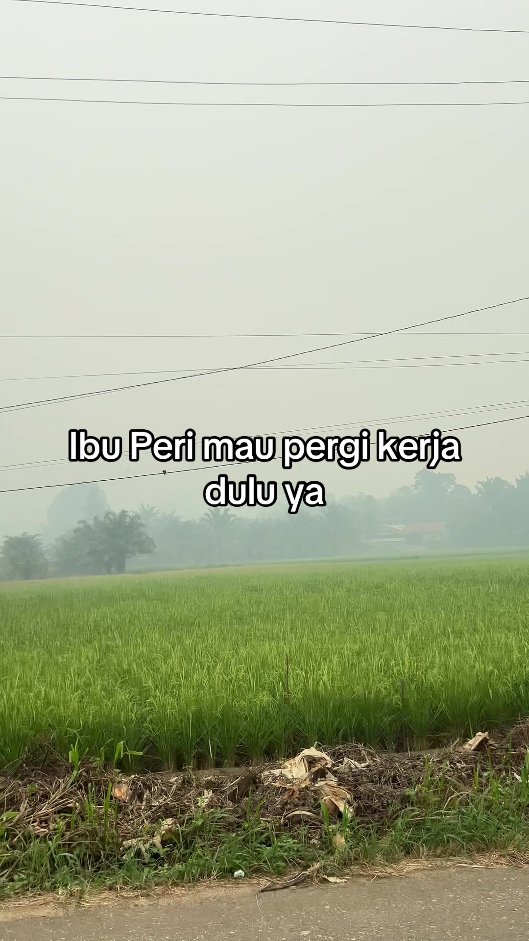 @mr_