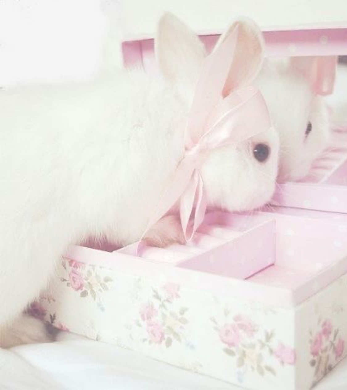 @𖧧ena &sigmaf;꒰ ˊ͈˘ˁ ⑅ ꒱ა˒˒