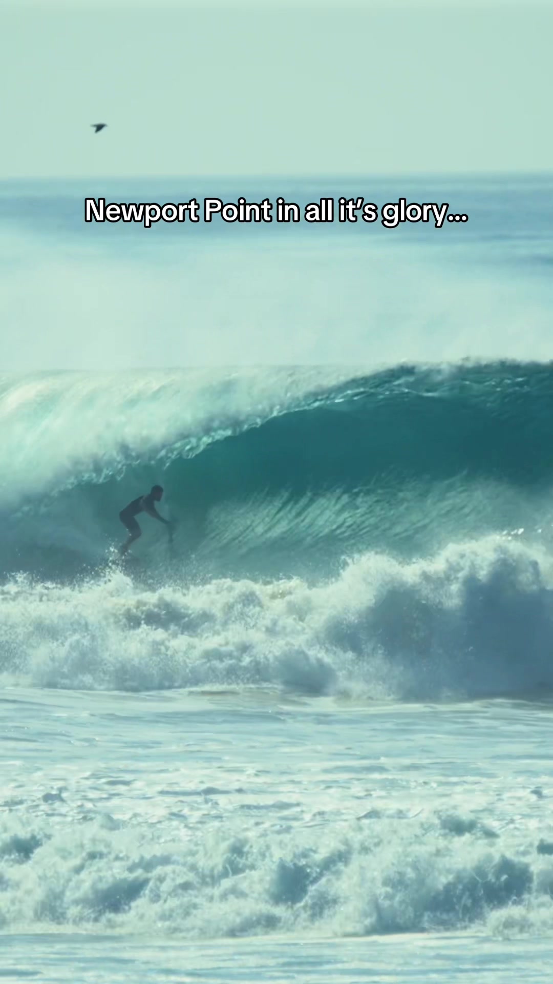 @Surftok