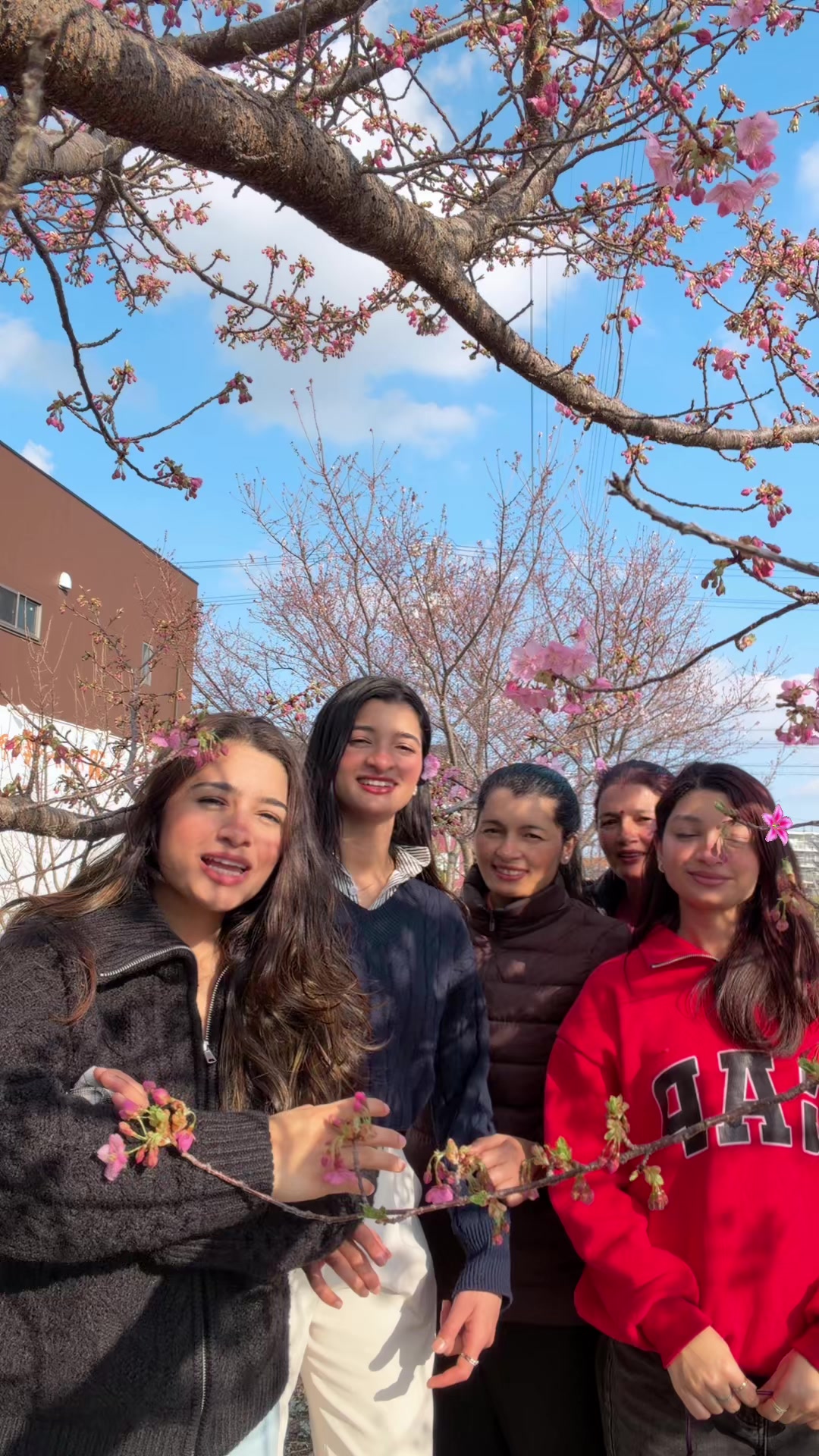 @Kreetikaa🌸