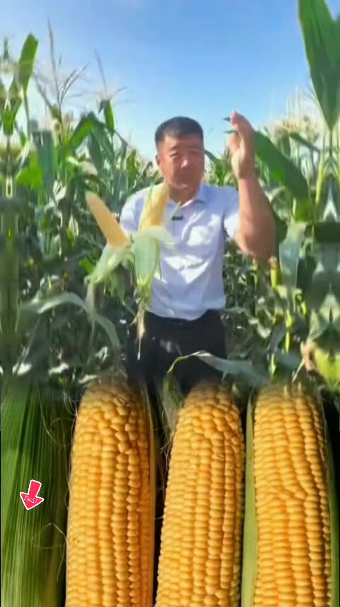 @tới đồ dùng