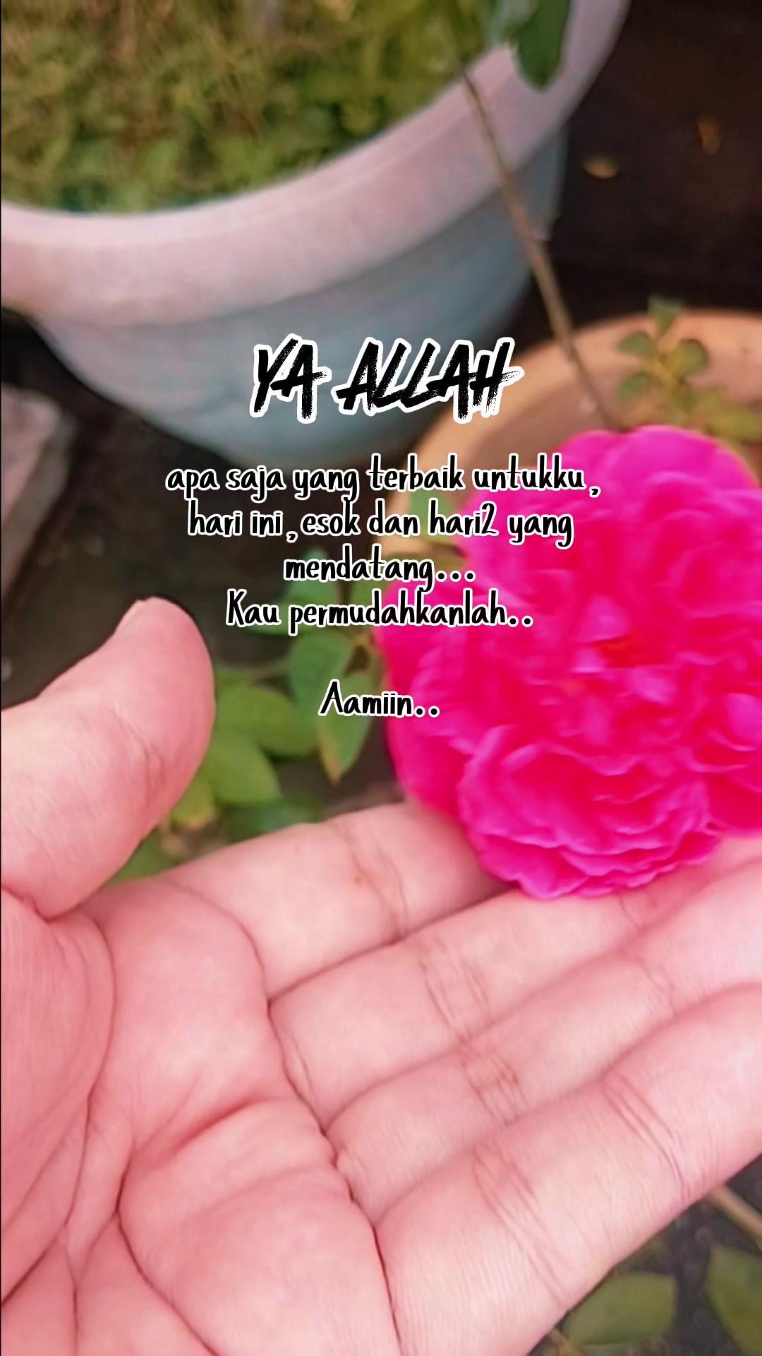 @Lin🌷