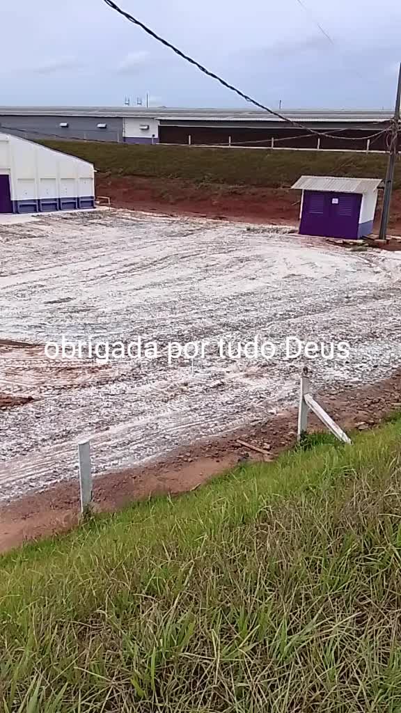 @Priscila de Fátima
