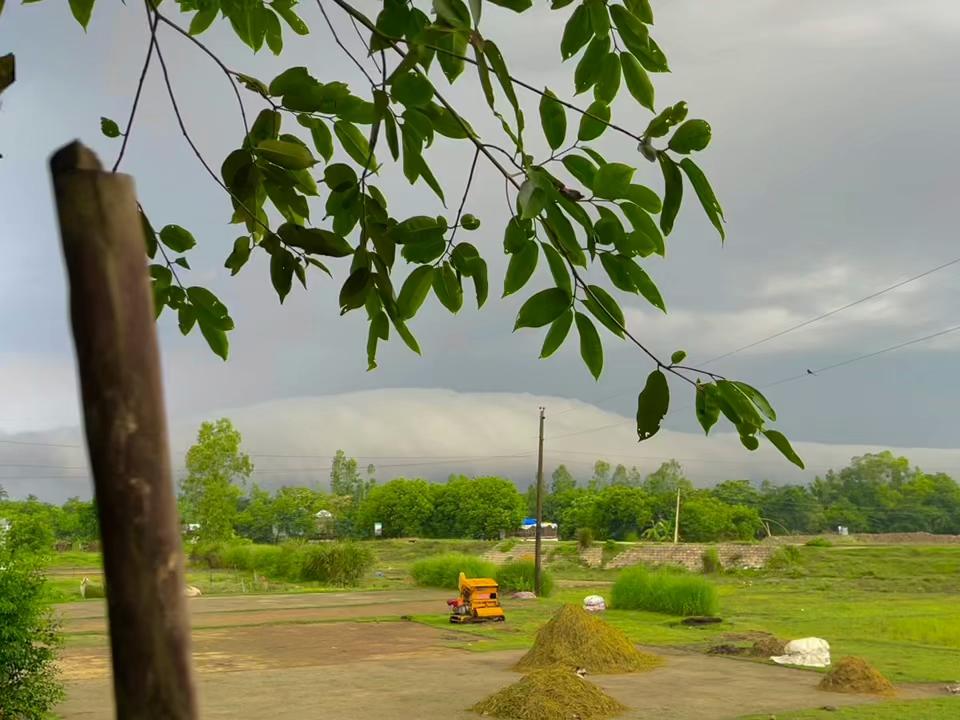 @ প্রকৃতি প্রেমিক সাইমন 🍃