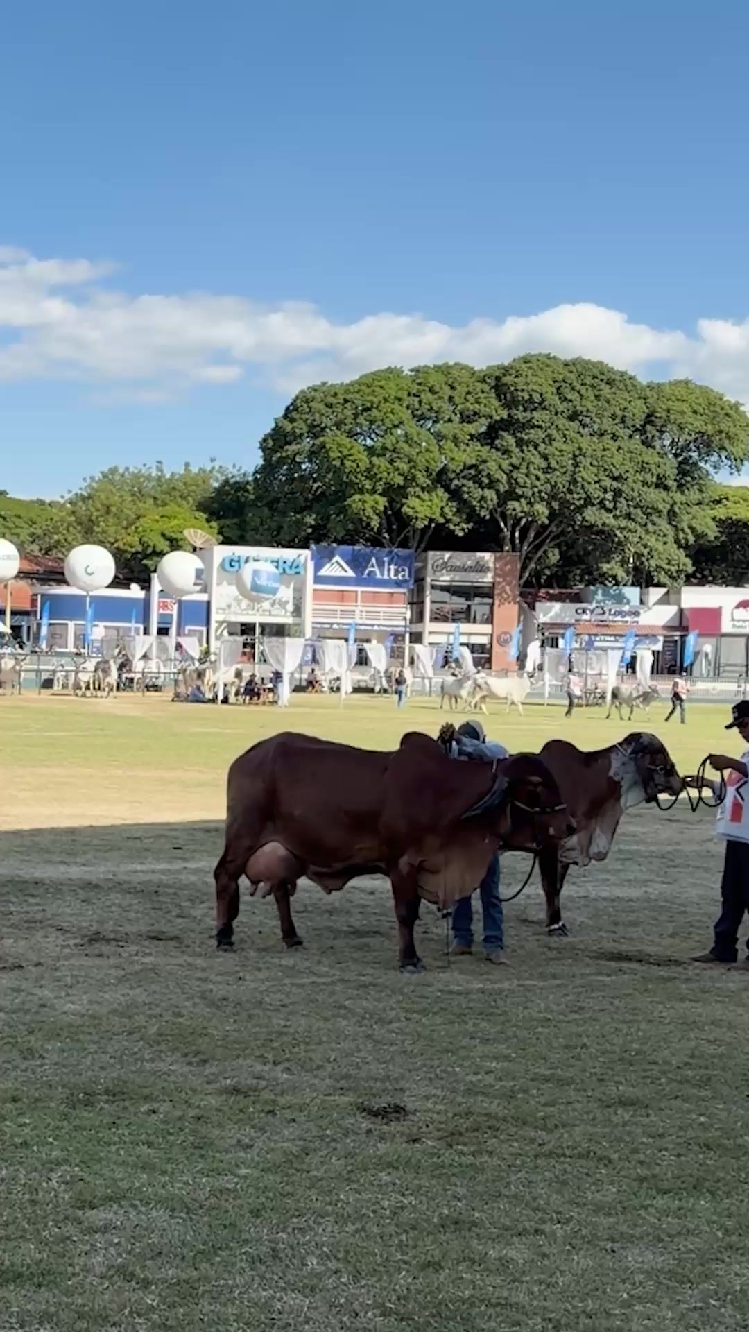 @La gloria ganadería