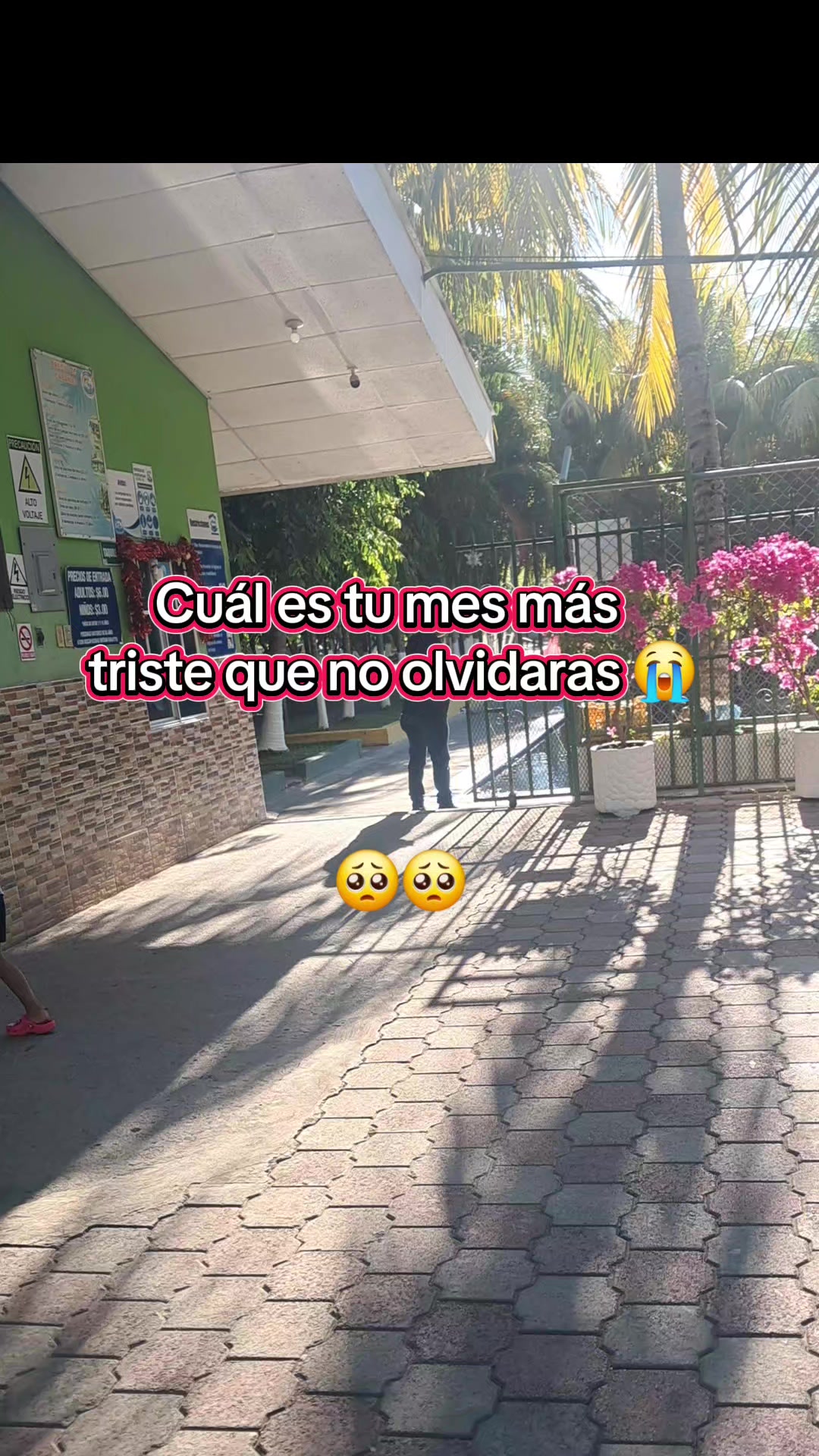 @✨️Rodriguez Cecilia 🦋