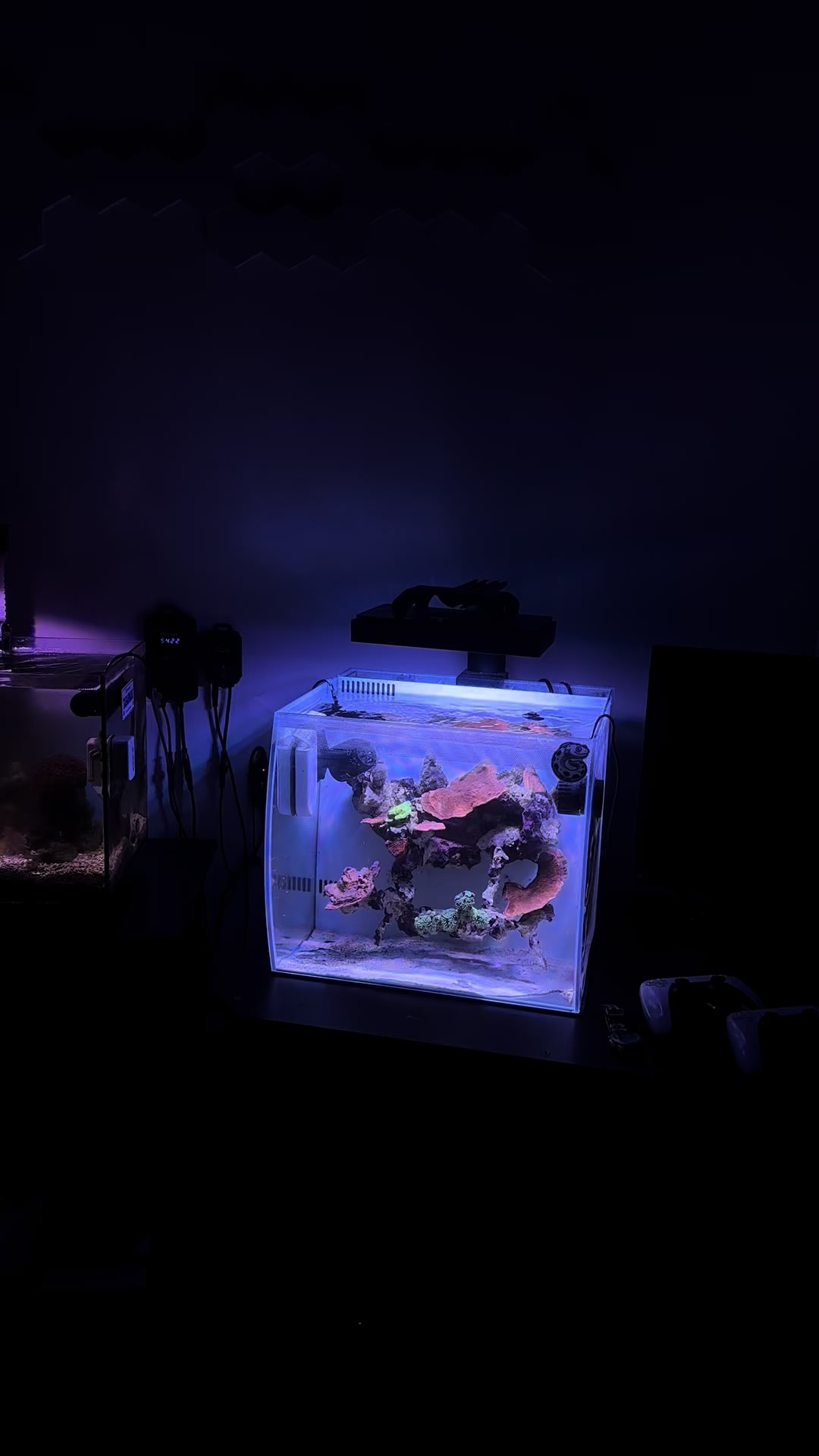 @ReefSync