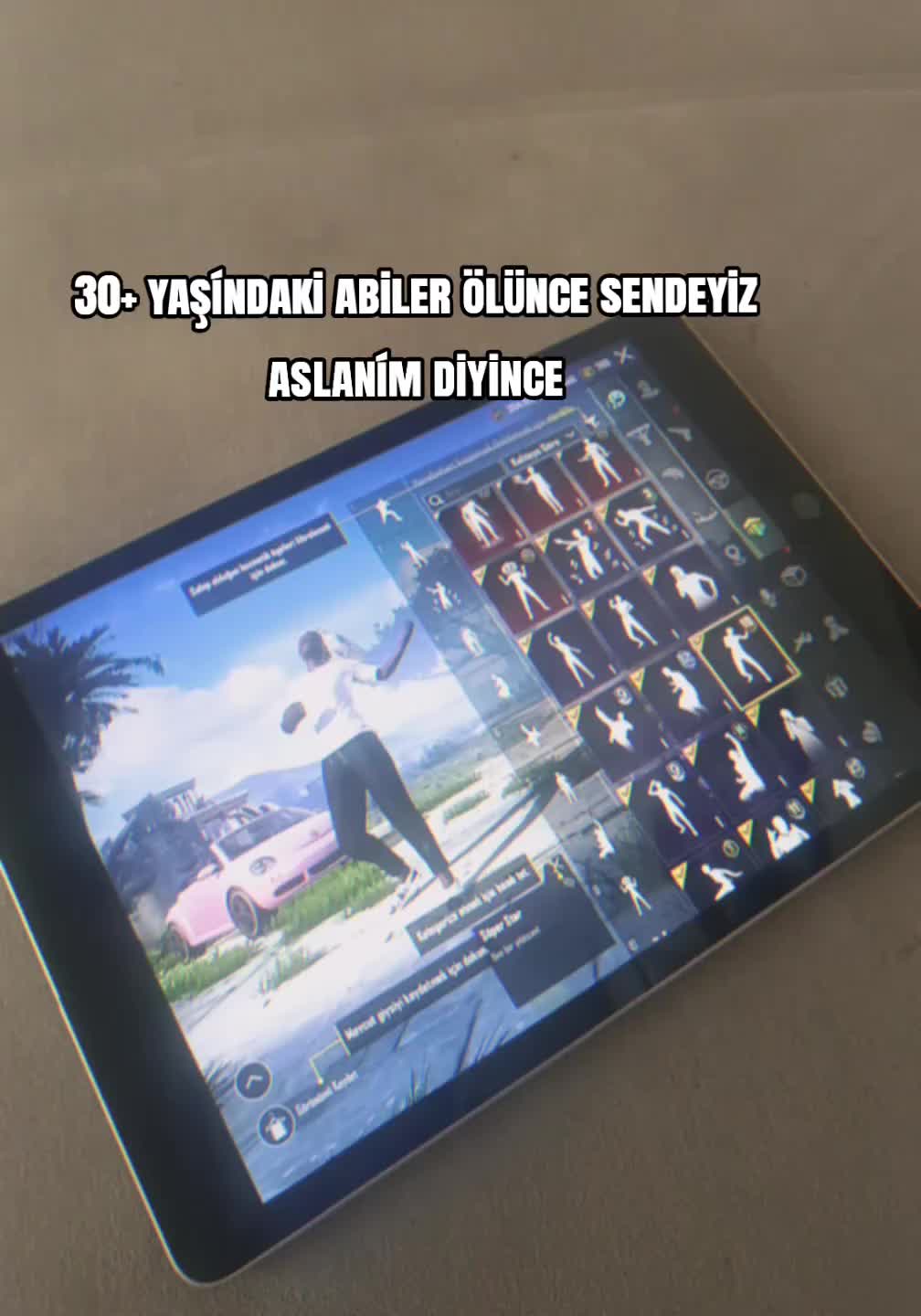 @horoz ve oyun kuşu güvercin