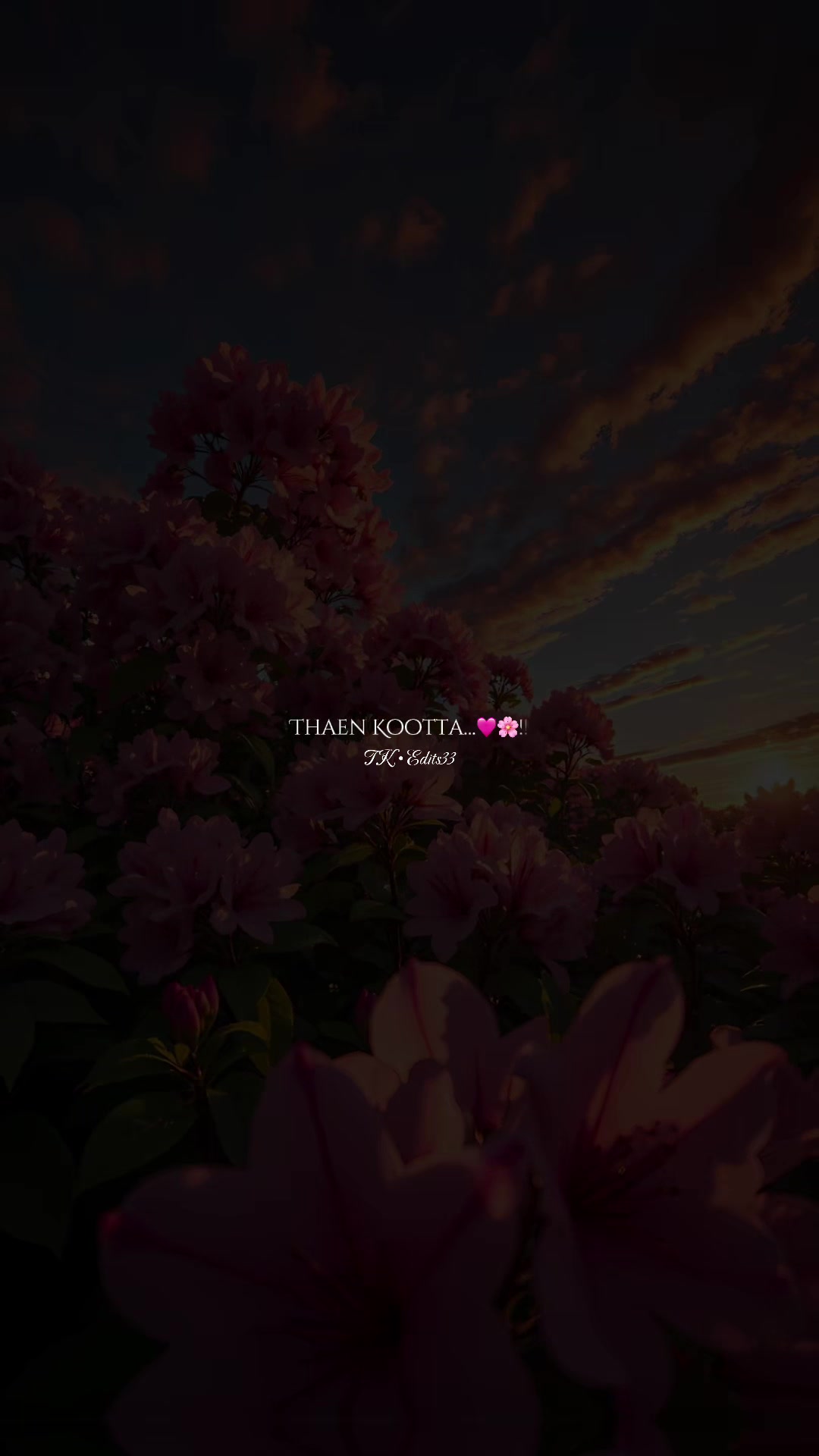 @ᥫ᭡ 𝐂𝐊•𝐄𝐝𝐢𝐭𝐬𝟎𝟑 🌸🦢!!