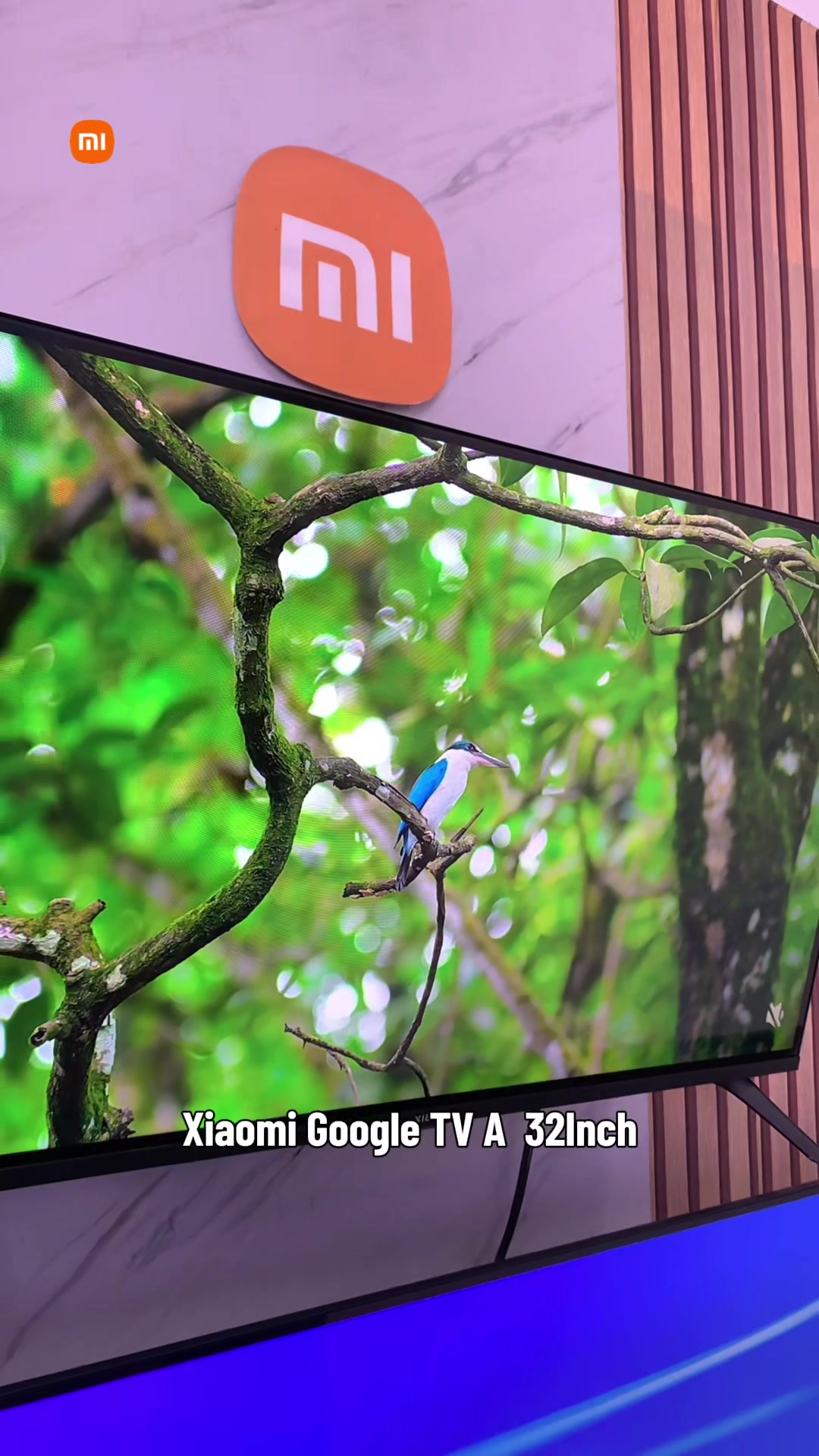 @Xiaomi’s home