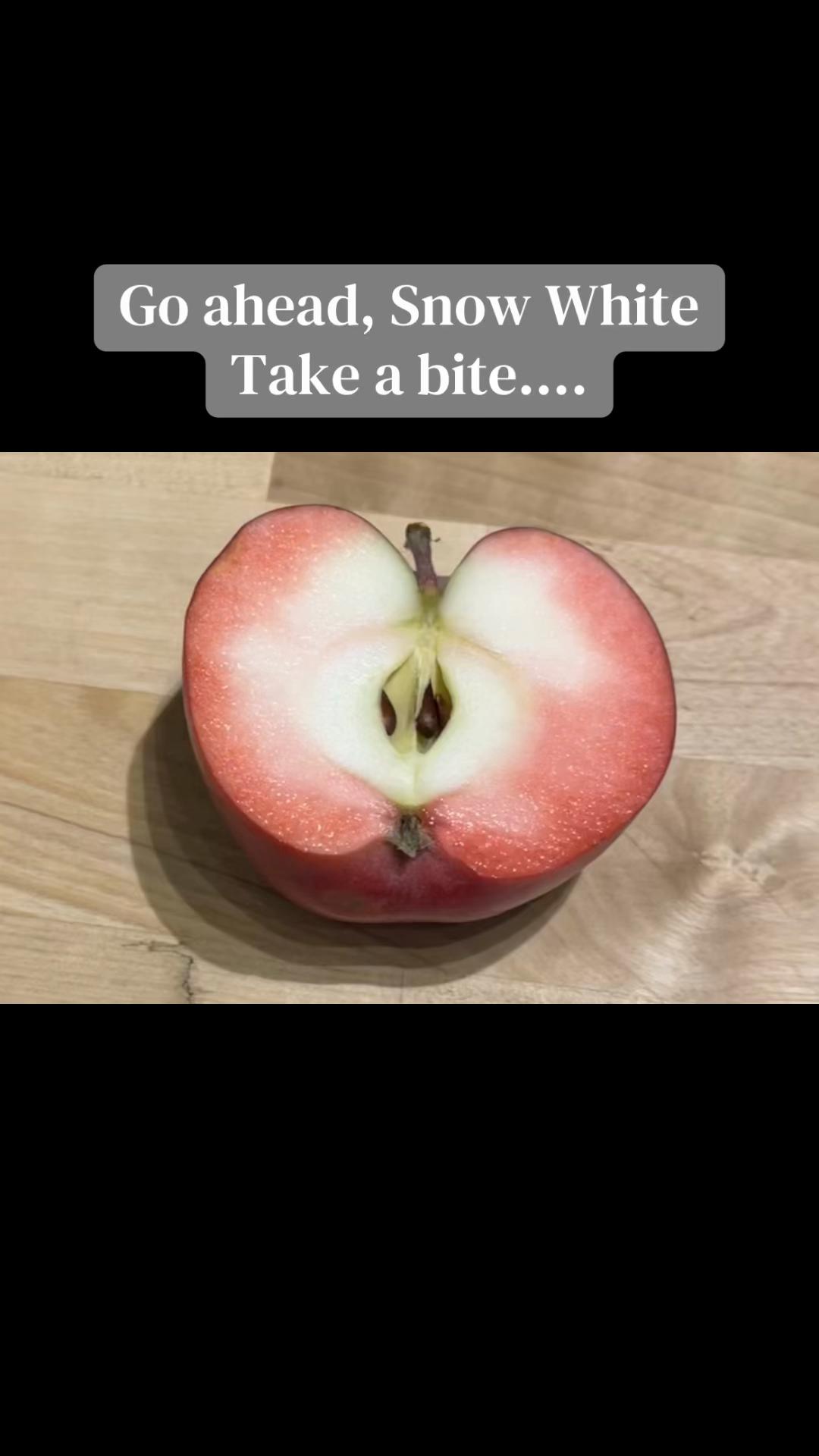 @Cowpunkmom
