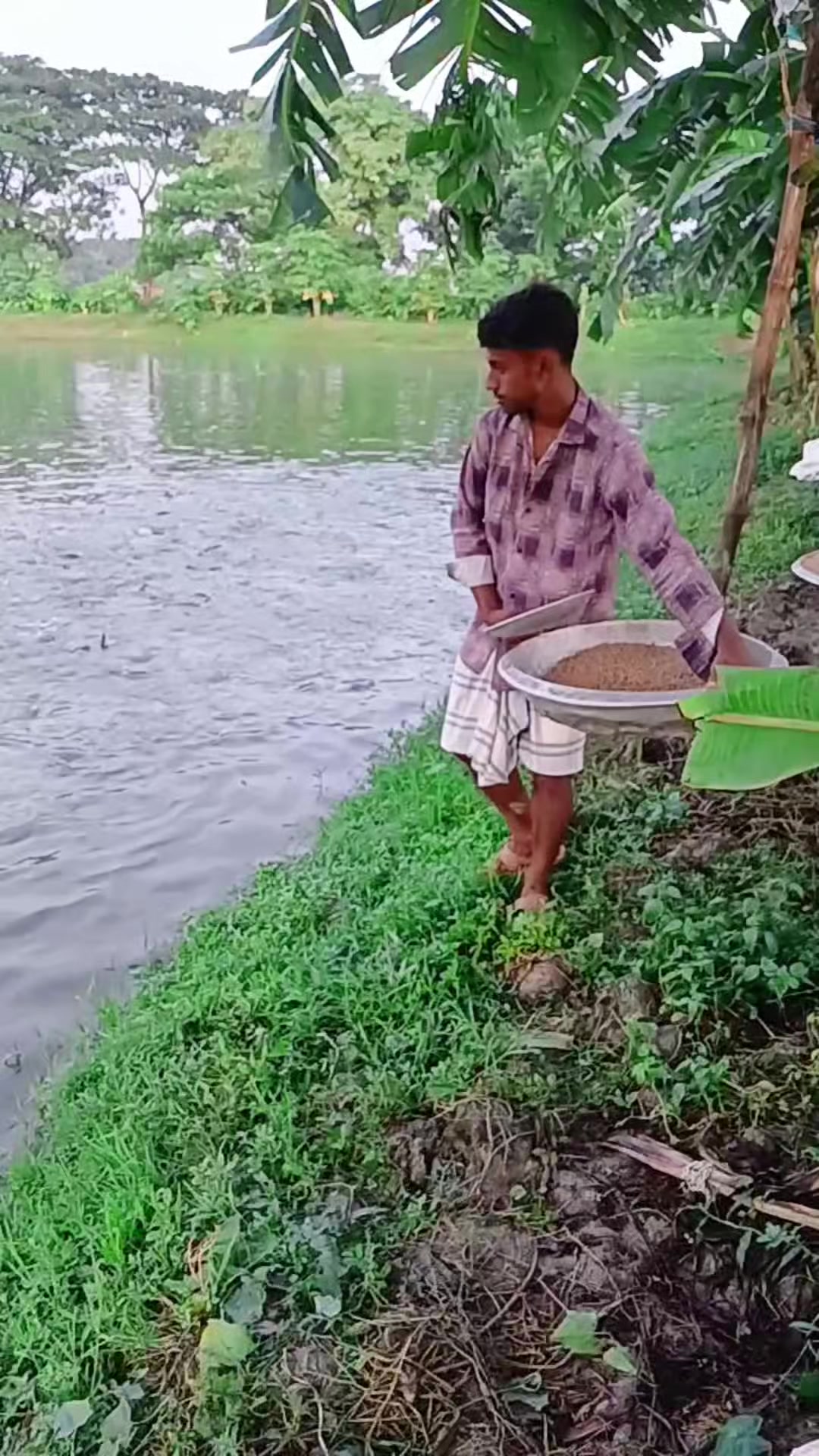 @সুজন মিয়া