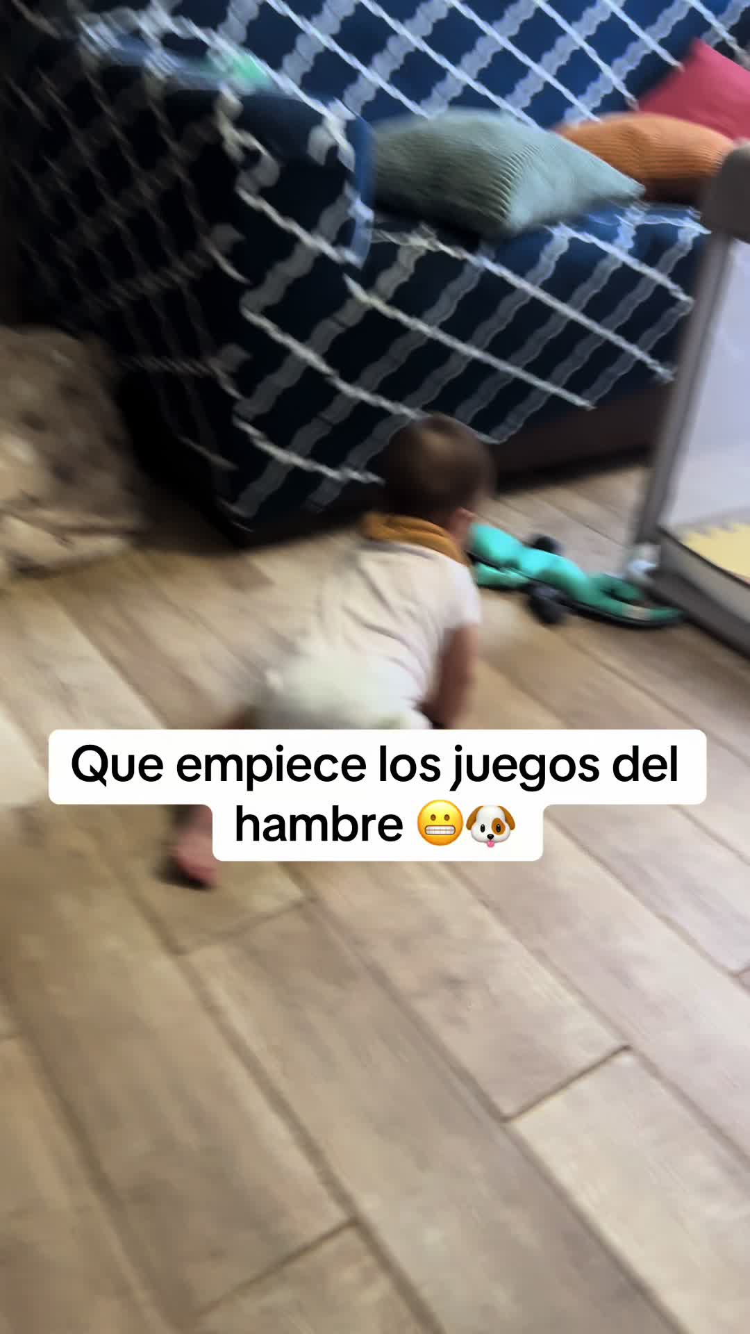 @Matti|C+B vlog🐶❤️