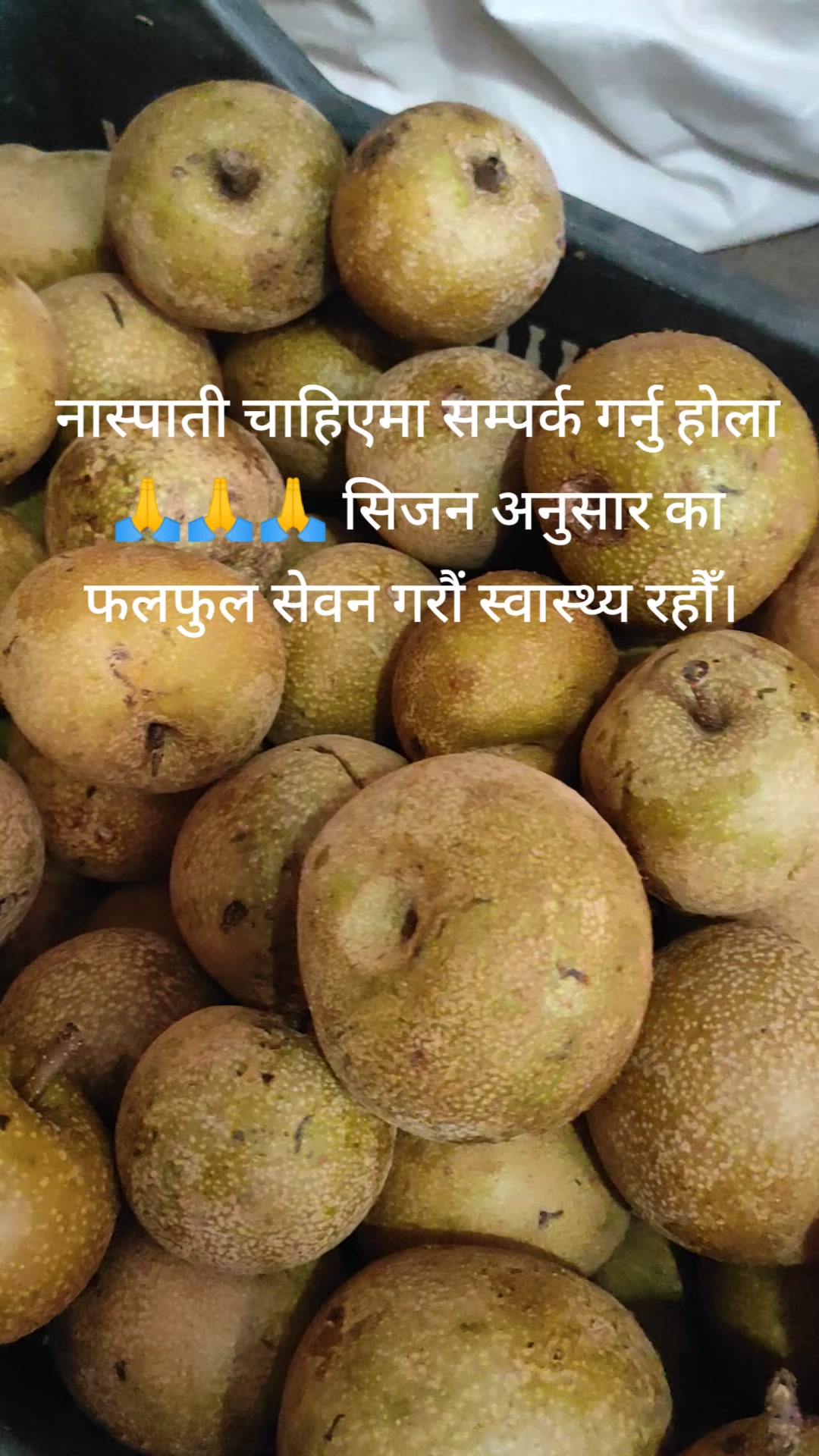 @Sangita (Hamropasal)