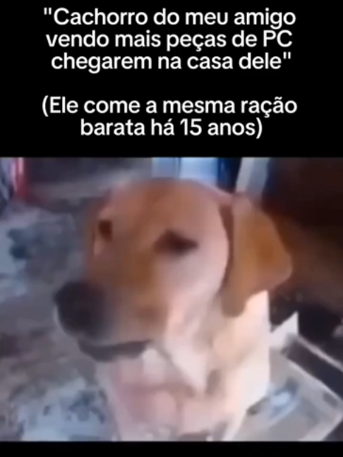 @blackhumor